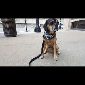 Meet your Posher, Megan